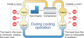 Heat pump cycle