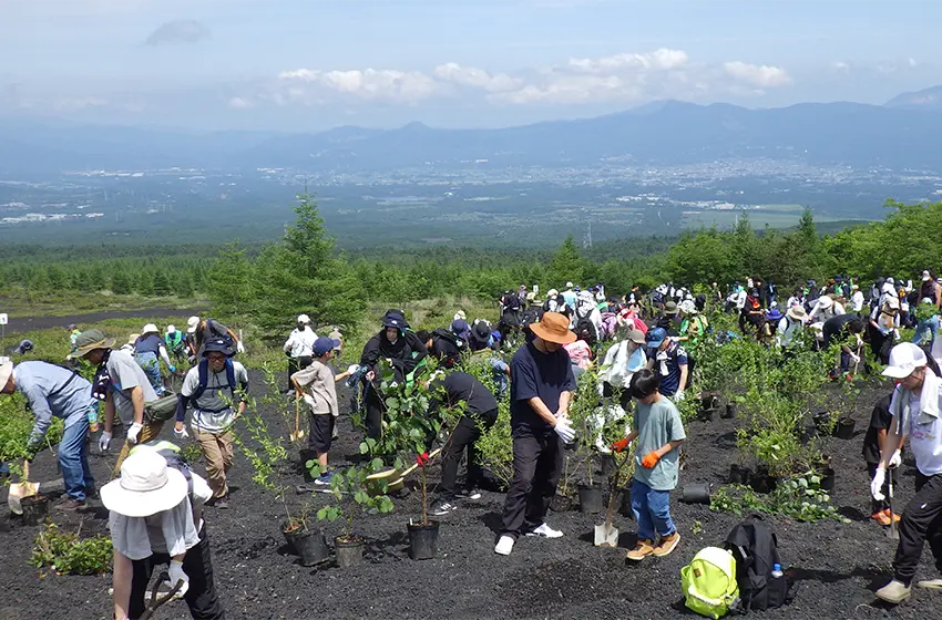 富士山5合目での植樹