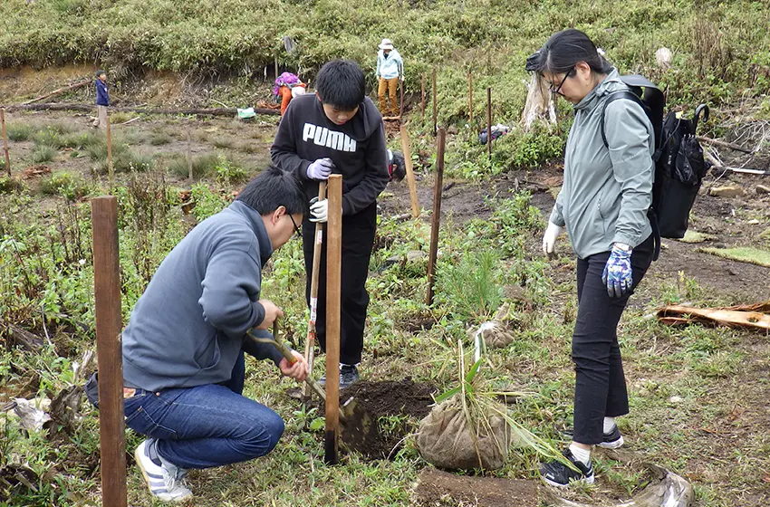 根羽村と連携した森づくり活動