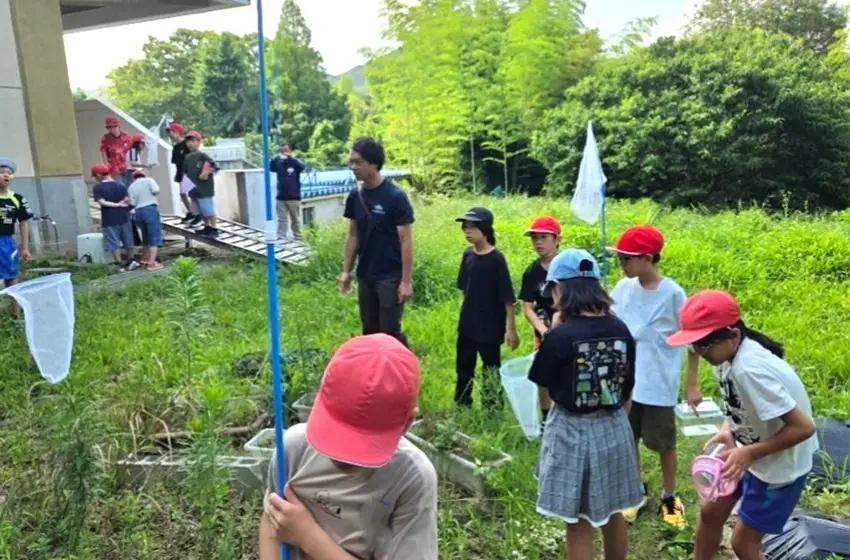 愛知県での出前授業（生き物観察）