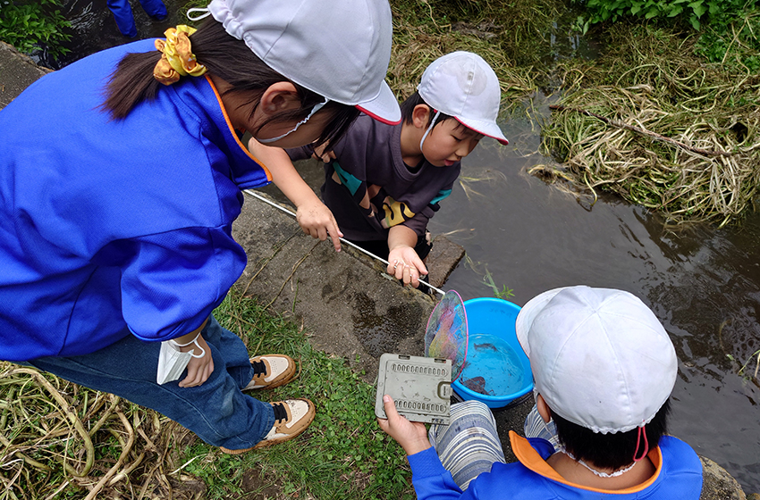 長野県での出前授業（生き物観察）