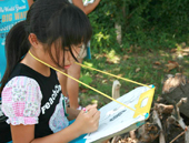 小学生による生き物マップ作成