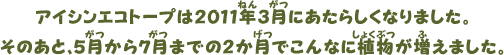アイシンエコトープは2011年3月にあたらしくなりました。そのあと、5月から7月までの2か月でこんなに植物が増えました。
