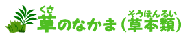 草�?�なかま?��草本類�?