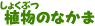 植物のなかま