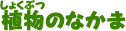 植物のなかま