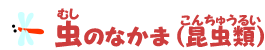 虫のなかま（昆虫類）