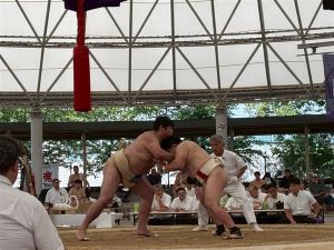 17618172-51ed-4c50-9759-2f1002be7cb5.jpg
