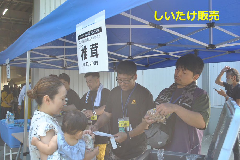 しいたけ販売