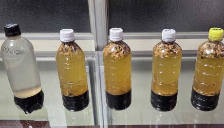 ⑥ペットボトルへ砂と種と海水を入れたもの 左側が砂のみ、右側が砂と廃菌床を混ぜたもの