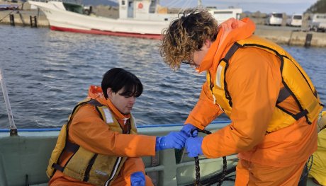 ⑨切った種苗をロープに挟みます