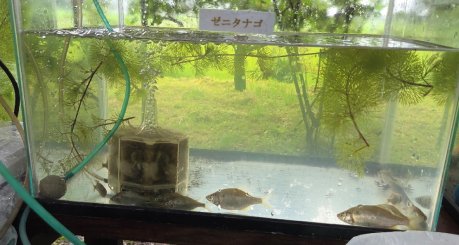20260807_img01