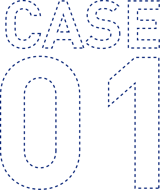 CASE 01