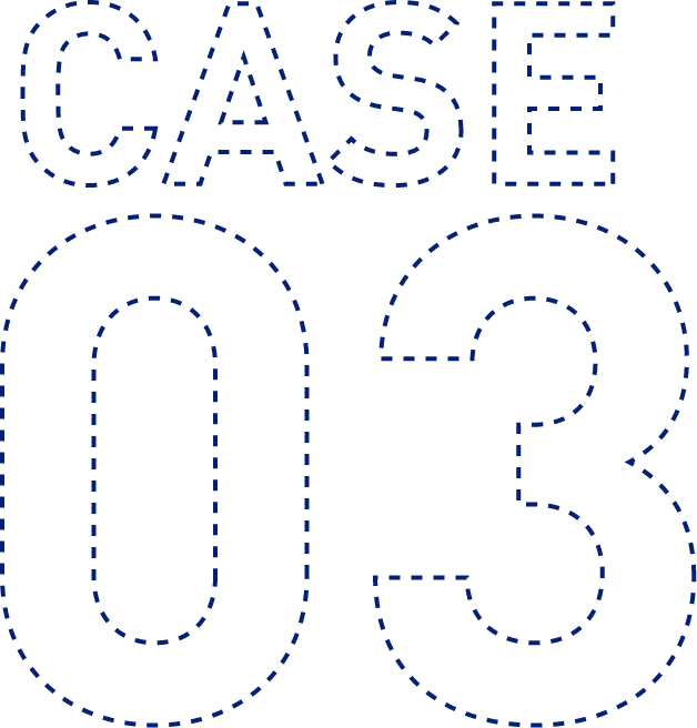 CASE 03