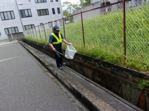 KODAK Digital Still Camera