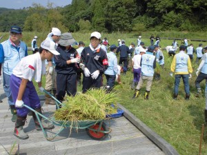 刈り取った稲を運ぶ参加者
