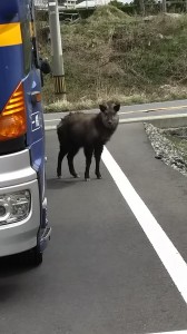 ちょっと変わったお客様