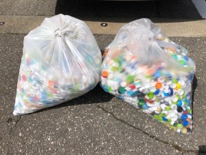 今回集まったペットボトルのキャップ