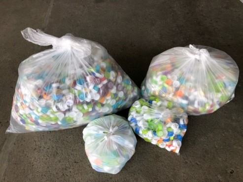 今回集まったペットボトルキャップ