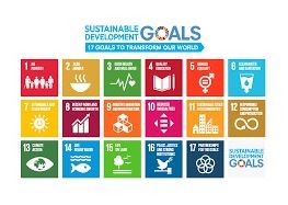 持続可能な開発目標（ＳＤＧｓ）