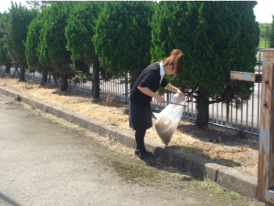 清掃活動5月（新湊）