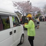 桜もきれいに咲いています