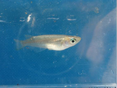 2026011304.pngのサムネイル画像