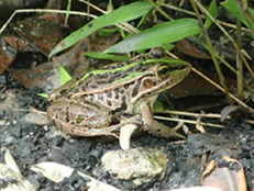 2026011305.pngのサムネイル画像