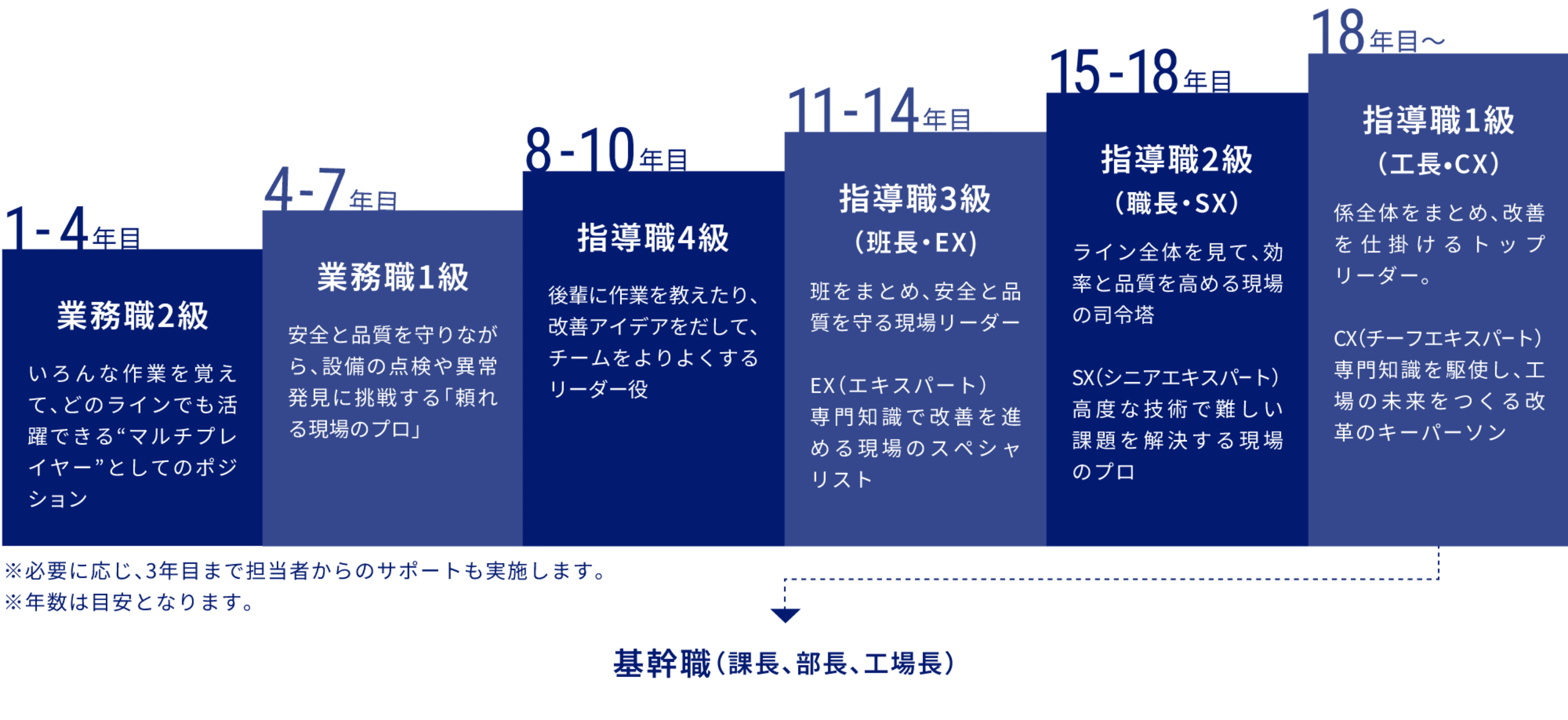 新卒技能職のキャリアステップ