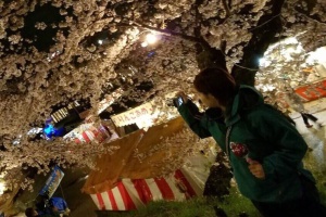 カメラに夢中です。(ニコ)