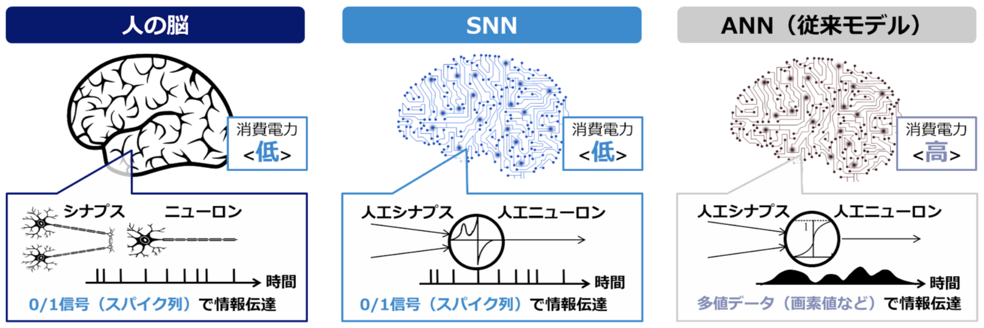 スパイキングニューラルネットワーク Tokyo Research Center